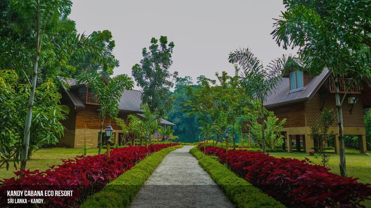 Kandy Cabana Extérieur photo